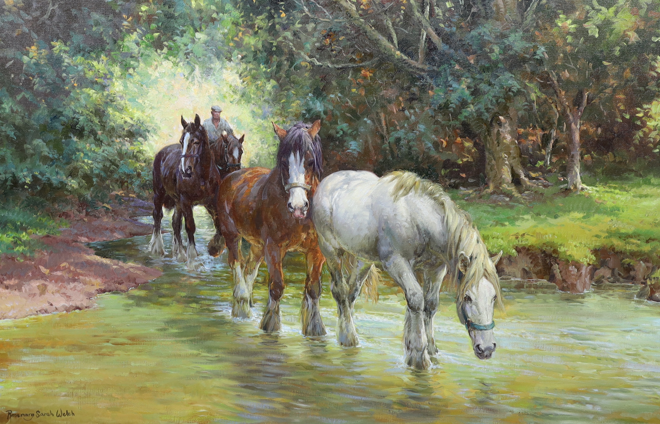 Rosemary Sarah Welch (English, b.1946), Horses crossing a stream, oil on canvas, 65 x 100cm, unframed